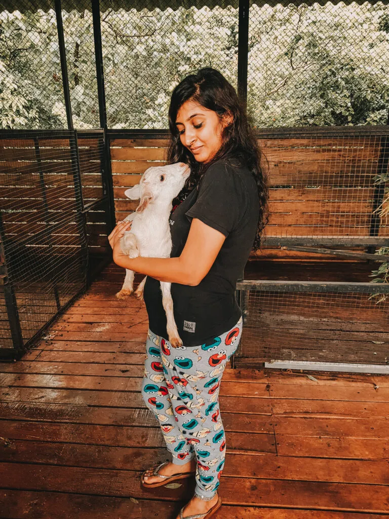 Petting Zoo -Forest Hills Tala- Weekend Gateway