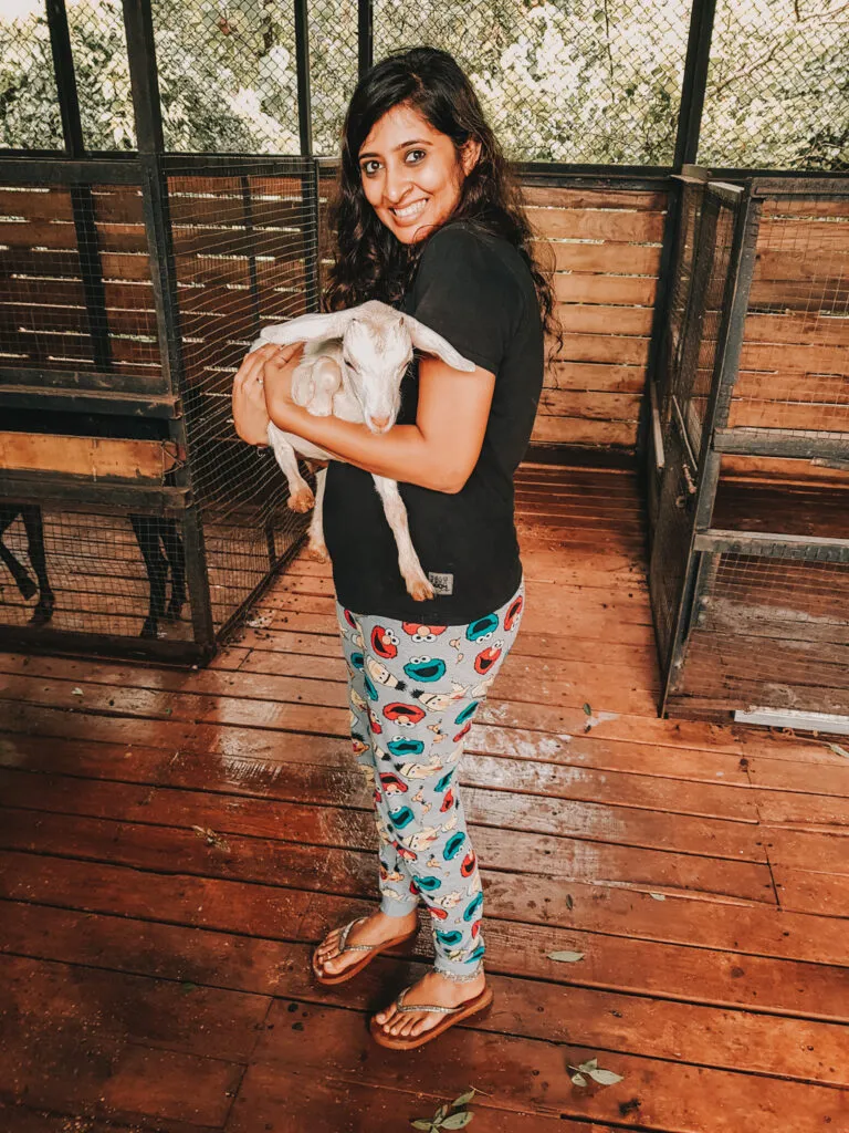 Forest Hills Tala- Weekend Gateway