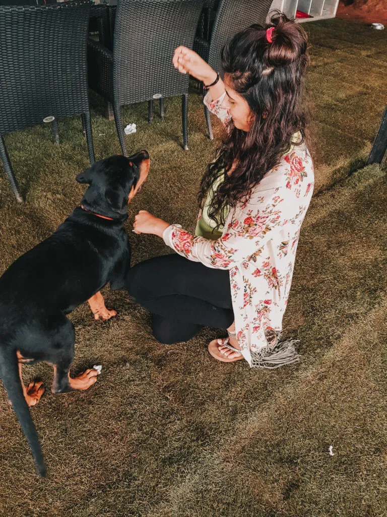 Forest Hills Tala- Weekend Gateway