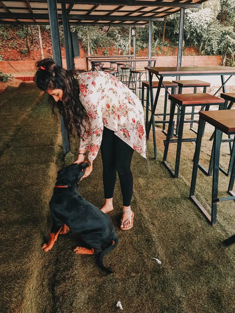 Forest Hills Tala- Weekend Gateway